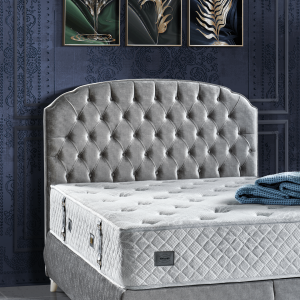 Soft Dreams Başlık